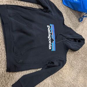 Patagonia Black Hoodie with Blue and Purple Logo
